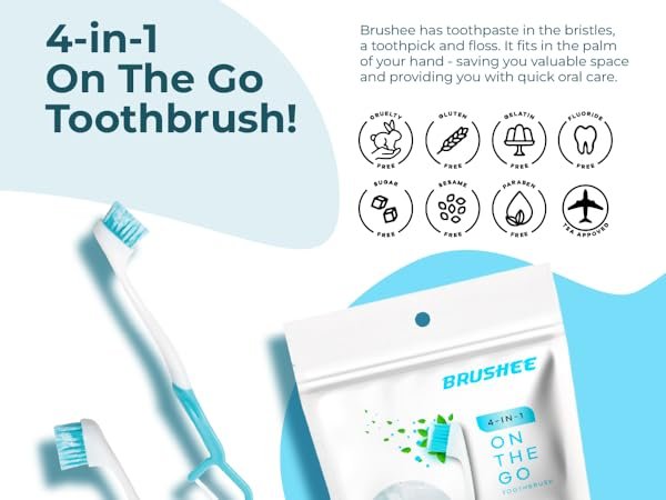 brushee 4 in 1 perfect travel combo