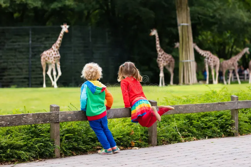 Kids playing with giraffe using water flosser and toothbrush combo