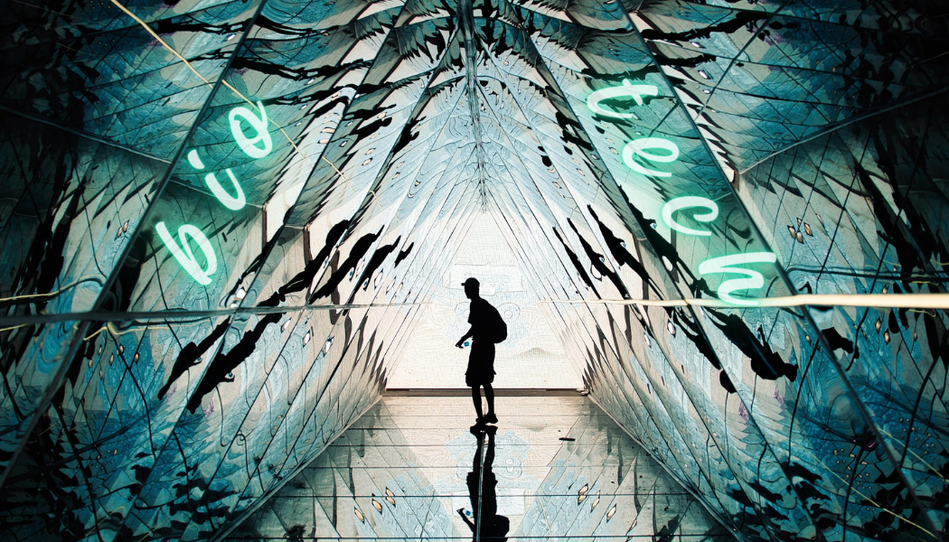 Kid passing through soft-tissue integration bio technology hallway